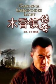 木香镇传奇 2009 on netflix