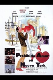 Prohibido amar en Nueva York 1984 on netflix