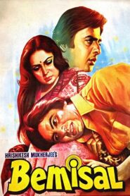 Bemisal 1982 on netflix