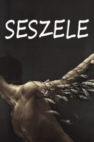 Seychelles 1991 on netflix