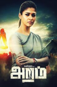 Aramm 2017 on netflix