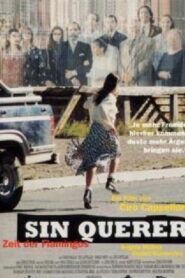 Sin querer 1997 on netflix