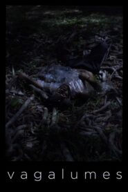 Fireflies 2021 on netflix