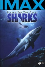 Search for the Great Sharks 1992 on netflix