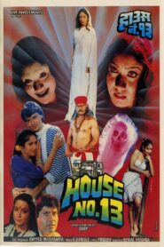 House No. 13 1991 on netflix
