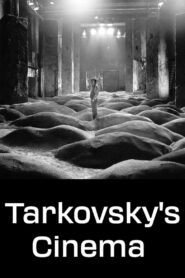 Tarkovsky’s Cinema 1987 on netflix