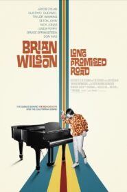 Brian Wilson: Long Promised Road 2021 on netflix