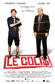 Return to Sender 2010 on netflix