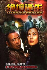Narrow Escape 1994 on netflix