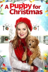 A Puppy for Christmas 2016 on netflix