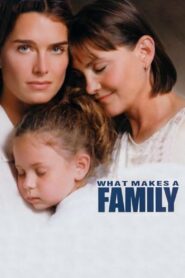 What Makes a Family 2001 on netflix