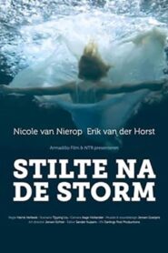 Stilte na de storm 2011 on netflix