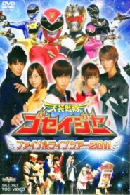 Tensou Sentai Goseiger: Final Live Tour 2011 2011 on netflix