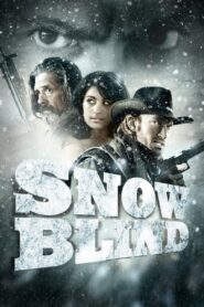 Snowblind 2010 on netflix