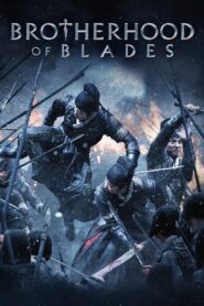 Brotherhood of Blades 2014 on netflix