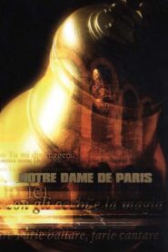 Notre Dame de Paris – Live Arena di Verona 2002 on netflix
