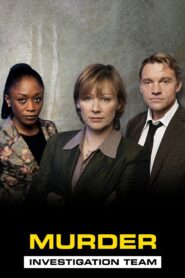 Murder Investigation Team 2003 on netflix