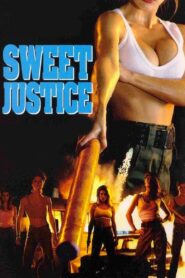 Sweet Justice 1993 on netflix