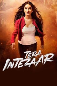 Tera Intezaar 2017 on netflix