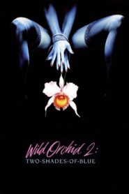 Wild Orchid II: Two Shades of Blue 1991 on netflix