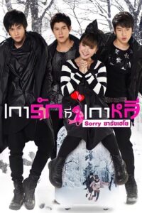 Sorry Saranghaeyo 2010 on netflix