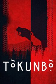 Tòkunbọ̀ 2024 on netflix