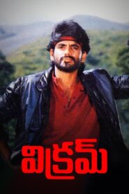 Vikram 1986 on netflix