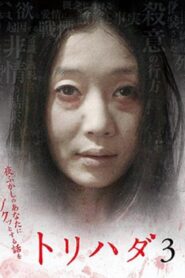 Torihada 3~ Yofukashi no anata ni zokutto suru hanashi wo 2008 on netflix