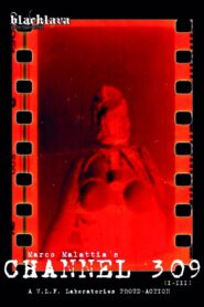 Channel 309 (1-3) 2019 on netflix