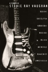 A Tribute to Stevie Ray Vaughan 1996 on netflix