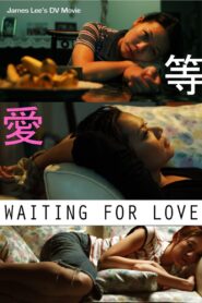 Waiting for Love 2007 on netflix