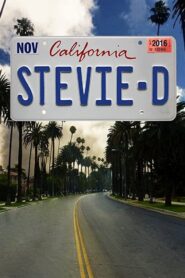 Stevie D 2016 on netflix