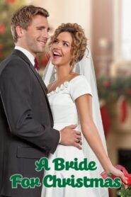 A Bride for Christmas 2012 on netflix