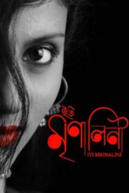 Iti Mrinalini 2011 on netflix