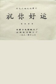 祝你好运 1992 on netflix