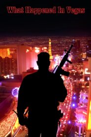 What Happened in Vegas 2017 on netflix
