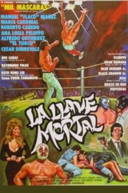 La llave mortal 1990 on netflix