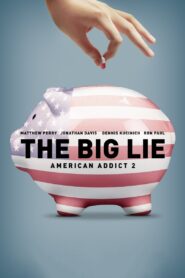 The Big Lie: American Addict 2 2016 on netflix