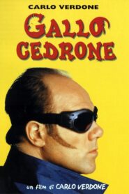Gallo cedrone 1998 on netflix