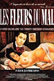 Les fleurs du mal 1991 on netflix