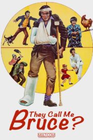 They Call Me Bruce? 1982 on netflix