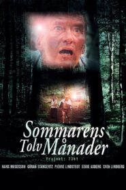 The Twelve Months of the Summer 1988 on netflix