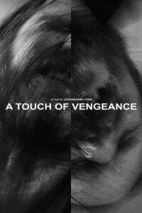 A Touch of Vengeance 2022 on netflix