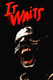 It Waits 2005 on netflix