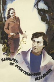 Love by Request 1982 on netflix