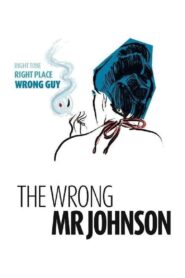 The Wrong Mr. Johnson 2009 on netflix