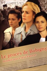 Le Procès de Bobigny 2006 on netflix