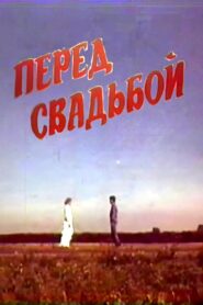 Before the Wedding 1987 on netflix