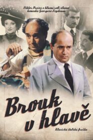 Brouk v hlavě 2003 on netflix