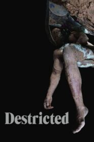 Destricted 2006 on netflix
